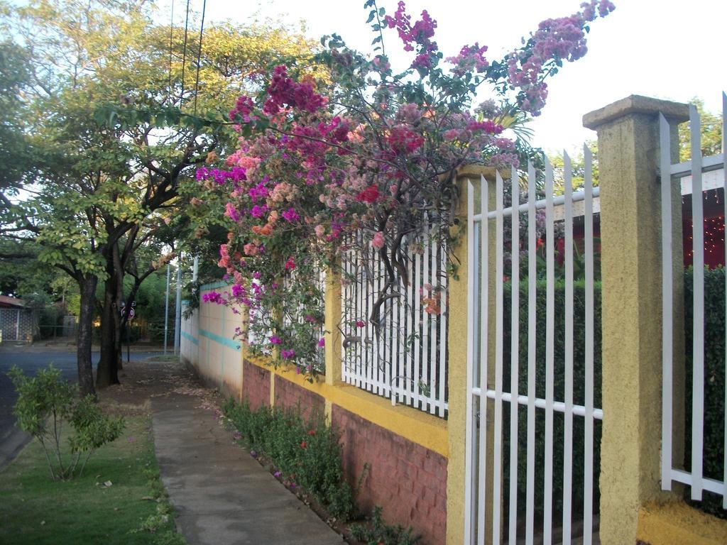 Hostal Casa Los Espinoza Managua Kültér fotó